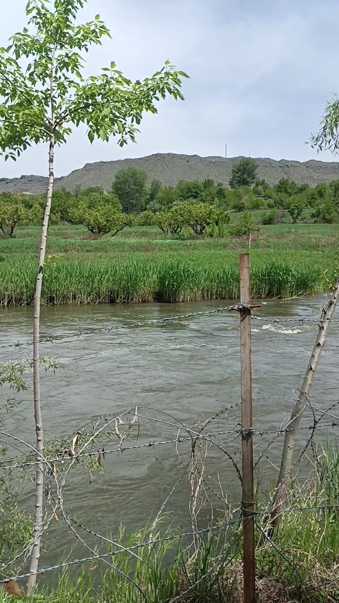 Bozdağ Alabalık Tesisleri — fotoğraf 3