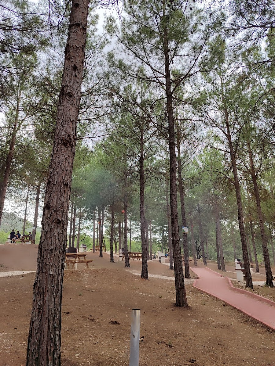 Bucak Millet Ormanı — fotoğraf 1