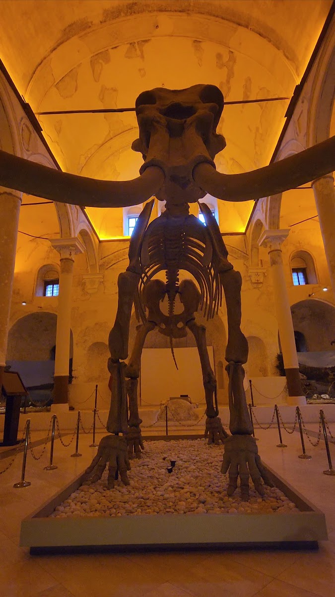 Burdur Doğa Tarihi Müzesi — fotoğraf 4