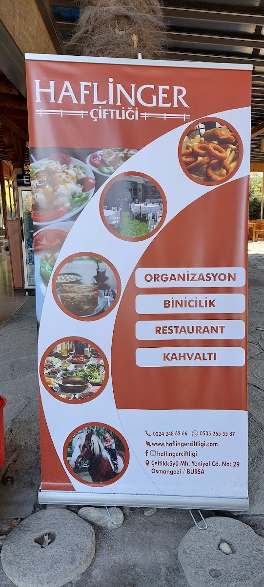 Bursa Haflinger Çiftliği — fotoğraf 2