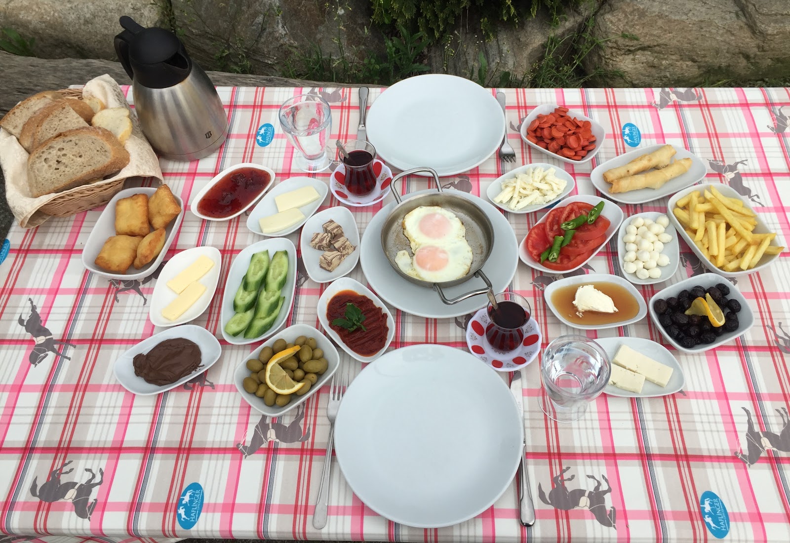 Bursa Haflinger Çiftliği — fotoğraf 6