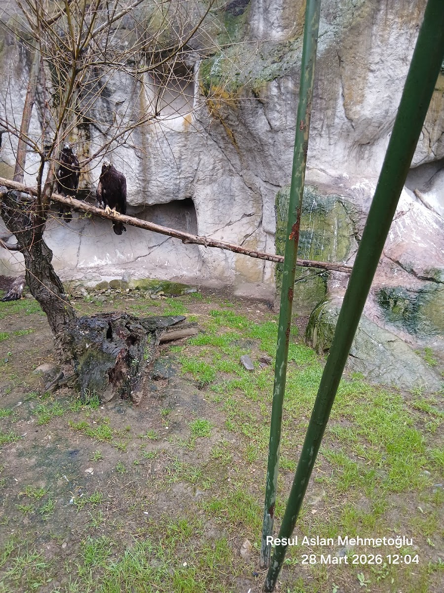 Bursa Hayvanat Bahçesi — fotoğraf 2