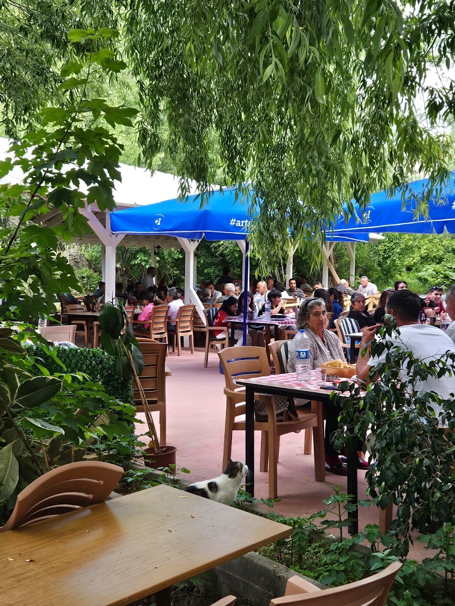 Çağlar Restaurant — fotoğraf 1