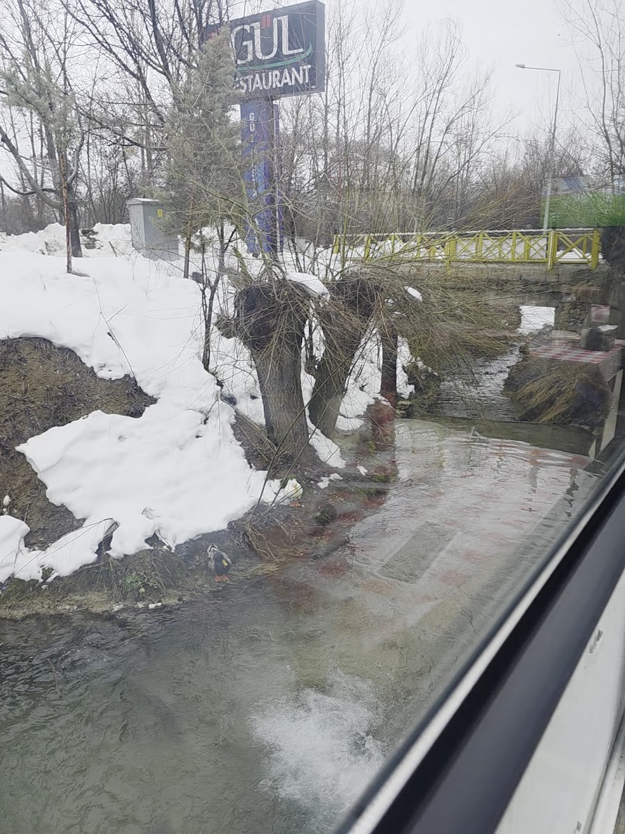 çağlayan Gül Restaurant — fotoğraf 2