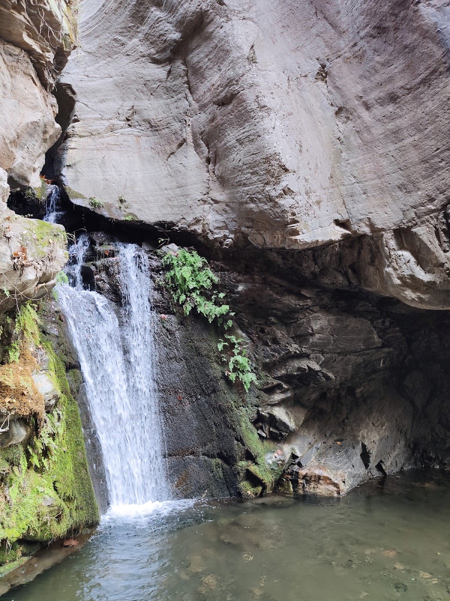 Çağlayan Tabiat parkı — fotoğraf 1