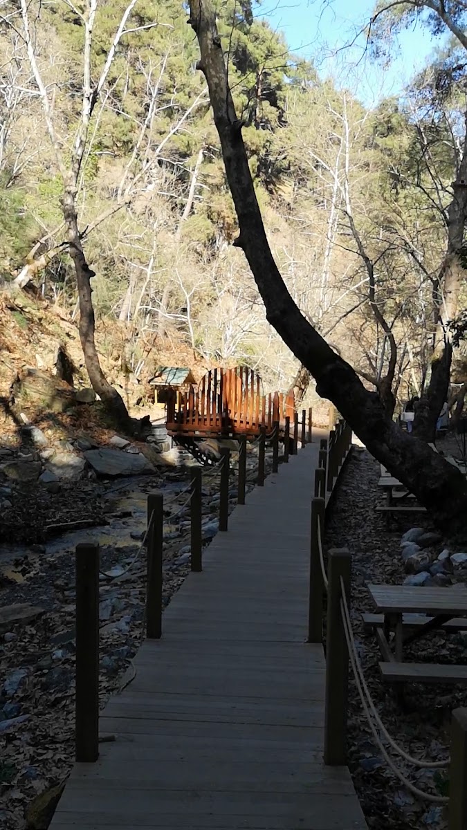 Çağlayan Tabiat parkı — fotoğraf 3