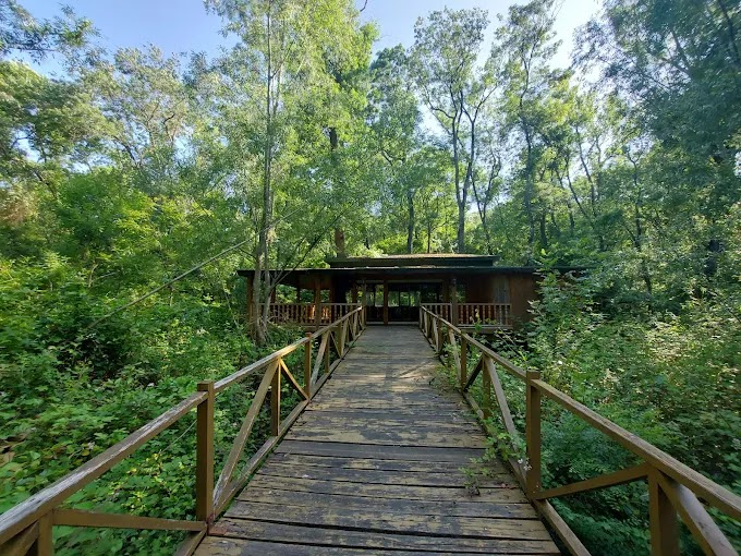 Çakırlar Korusu — fotoğraf 1