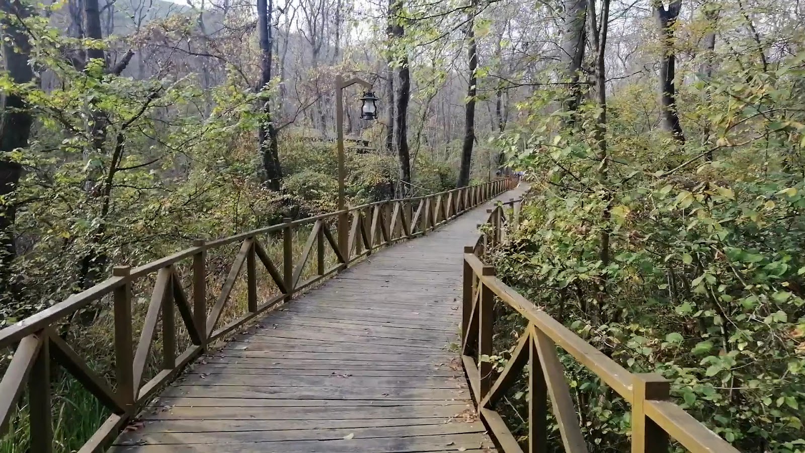 Çakırlar Korusu — fotoğraf 3