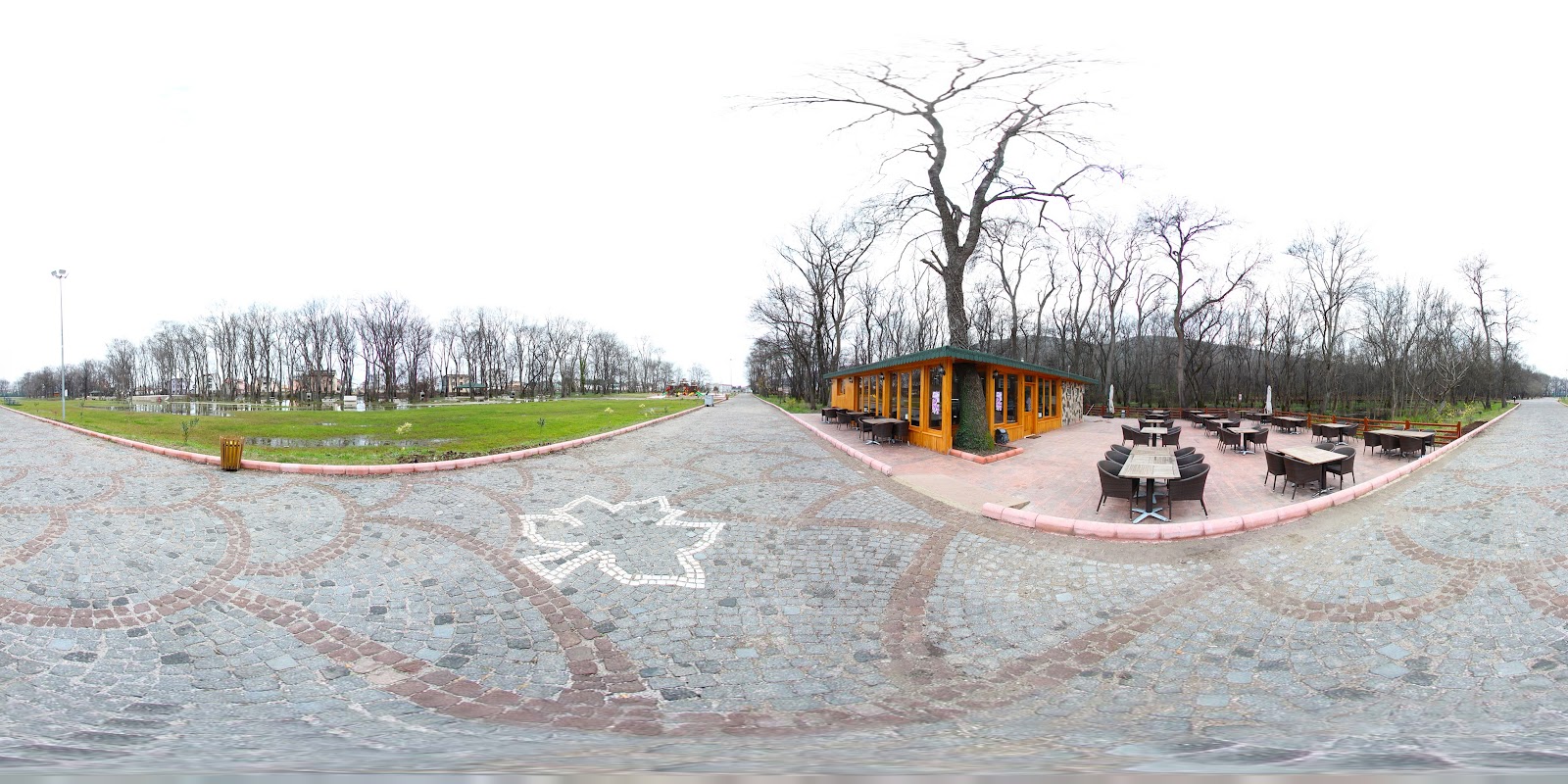 Çakırlar Korusu — fotoğraf 4