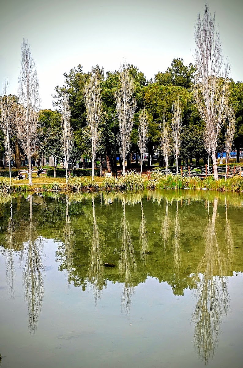 Cam Piramit Fuar ve Kongre Merkezi — fotoğraf 2