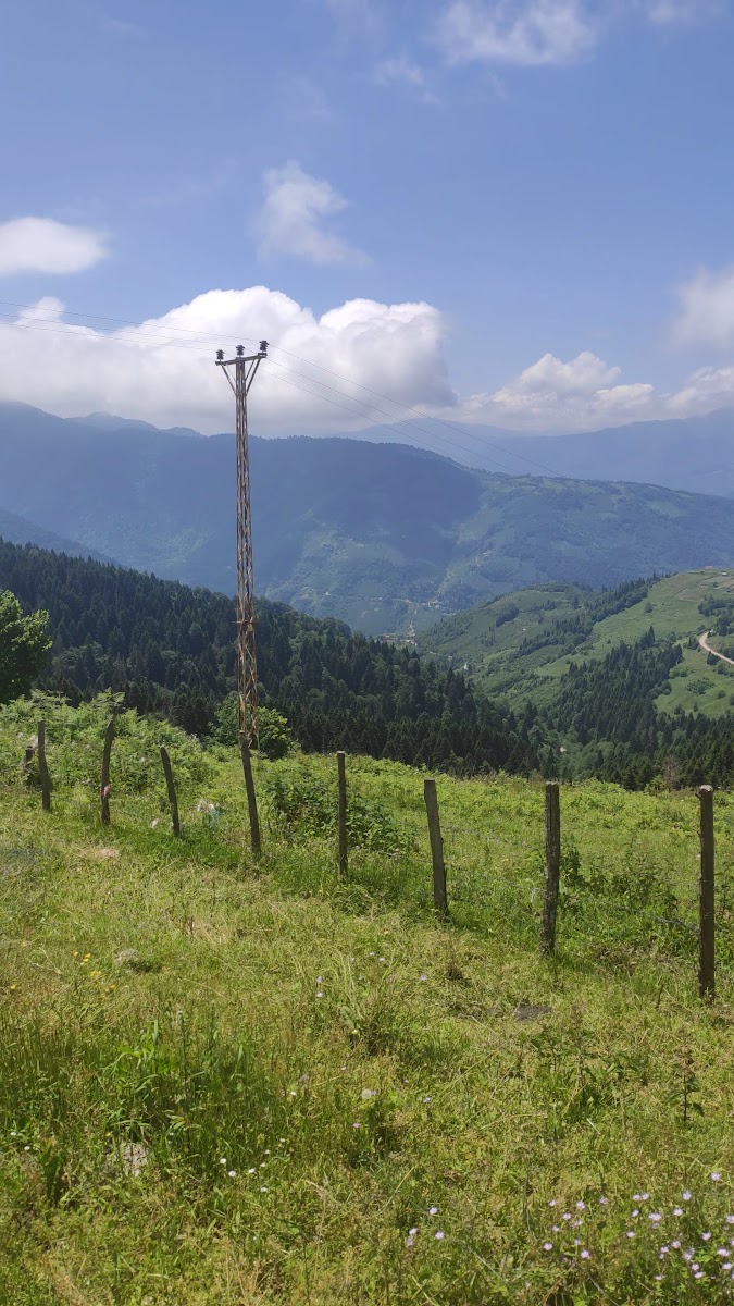 Çambaşı Yaylası — fotoğraf 3