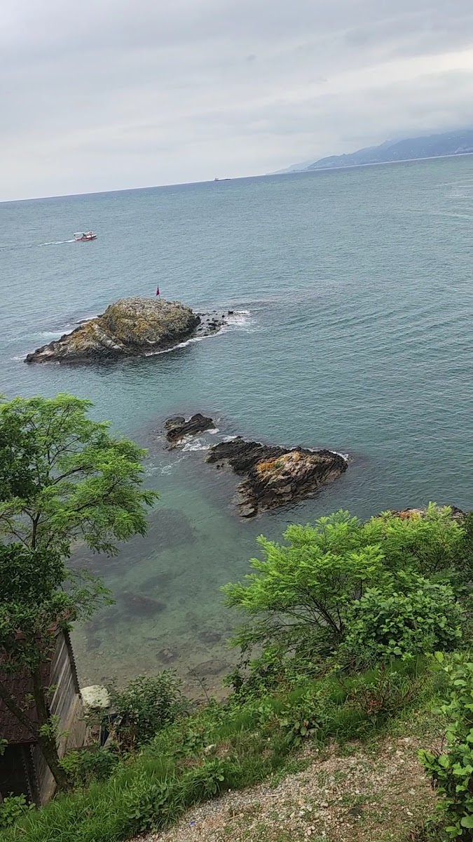 Çamburnu Restoran — fotoğraf 3