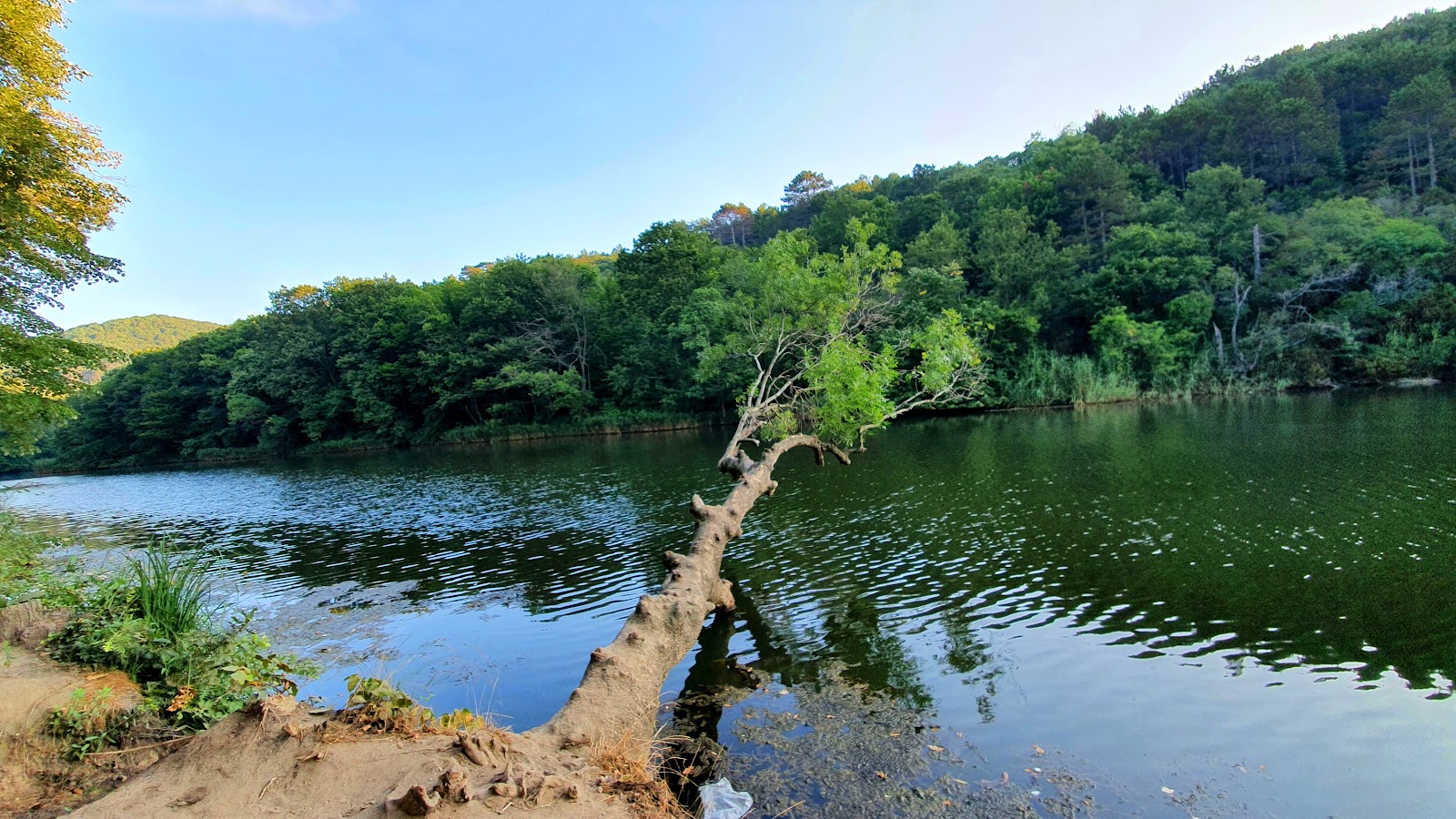 Çamlıköy Tabiat Parkı — fotoğraf 1