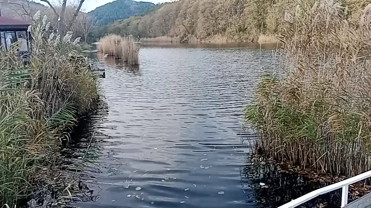 Çamlıköy Tabiat Parkı — fotoğraf 3