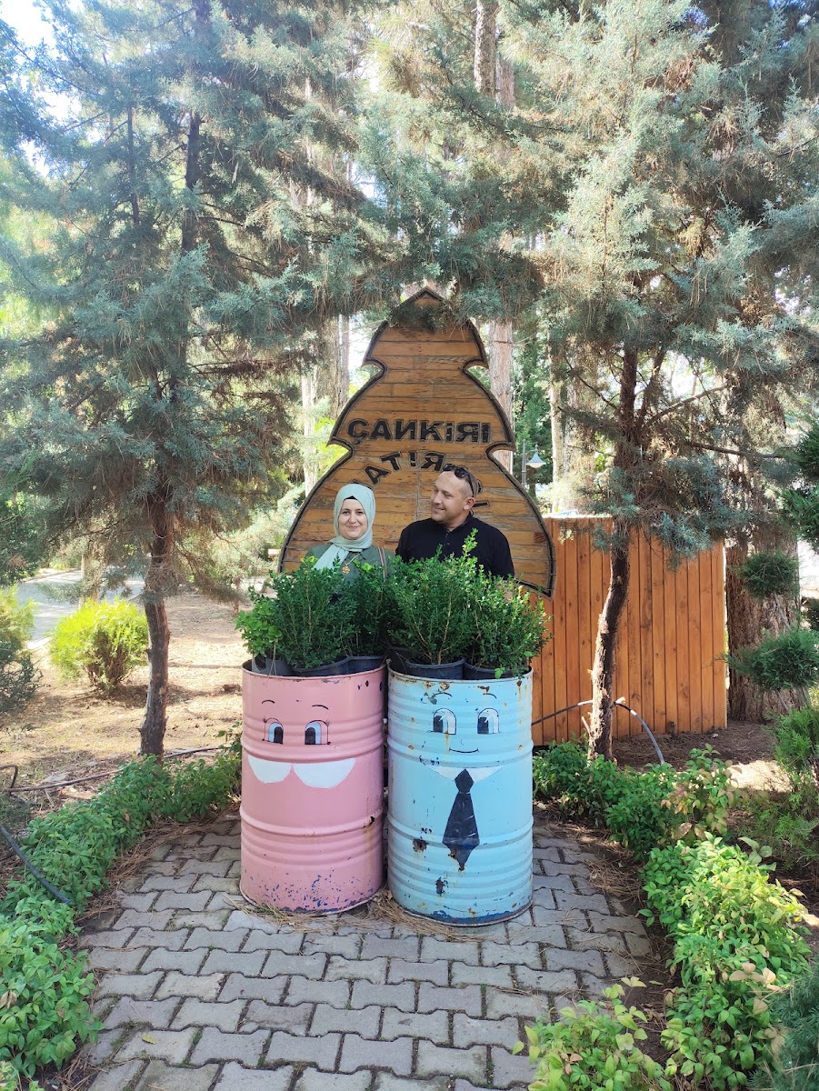 Çankırı Kalesi — fotoğraf 4