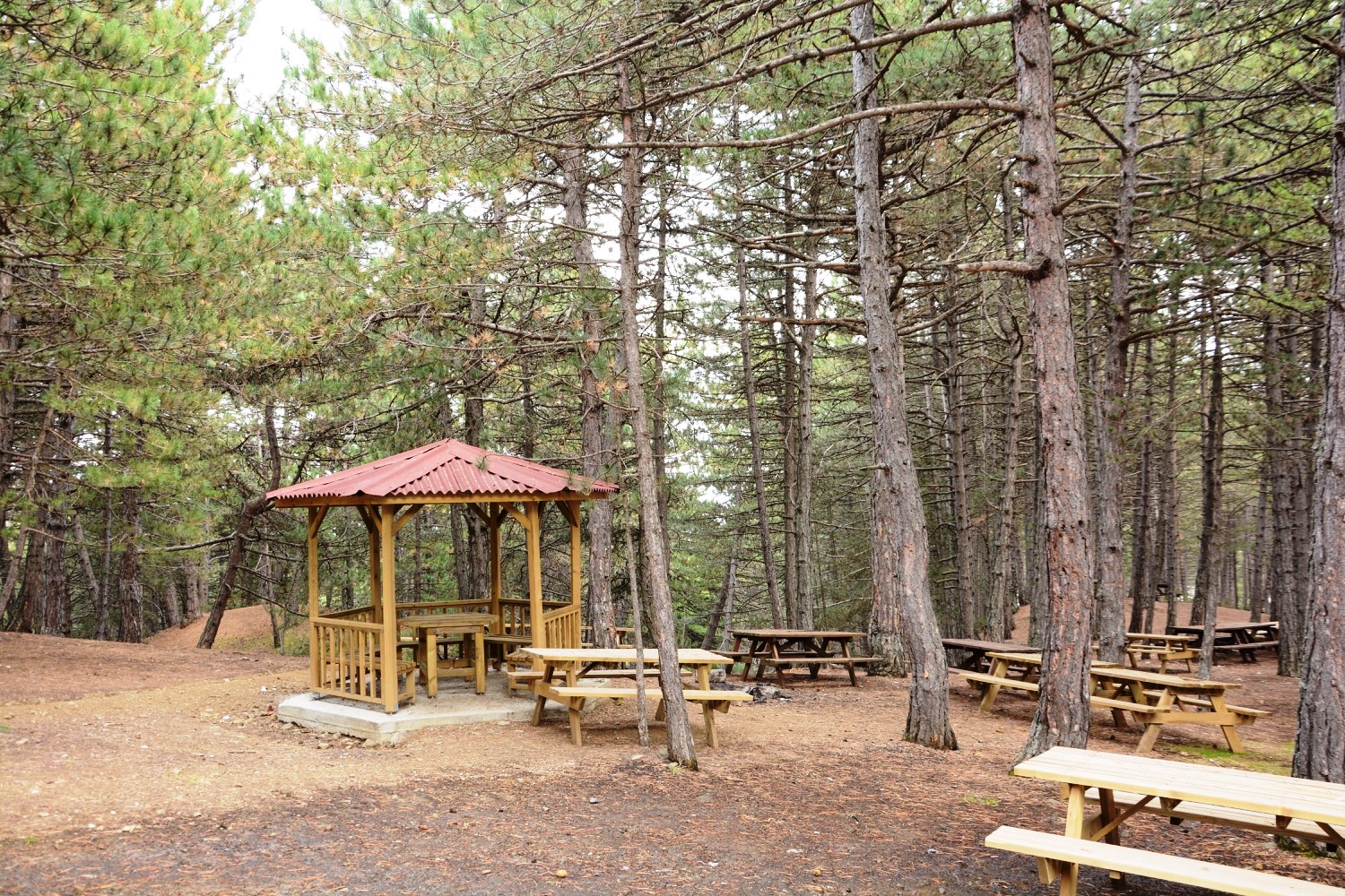 Çatak Tabiat Parkı — fotoğraf 1