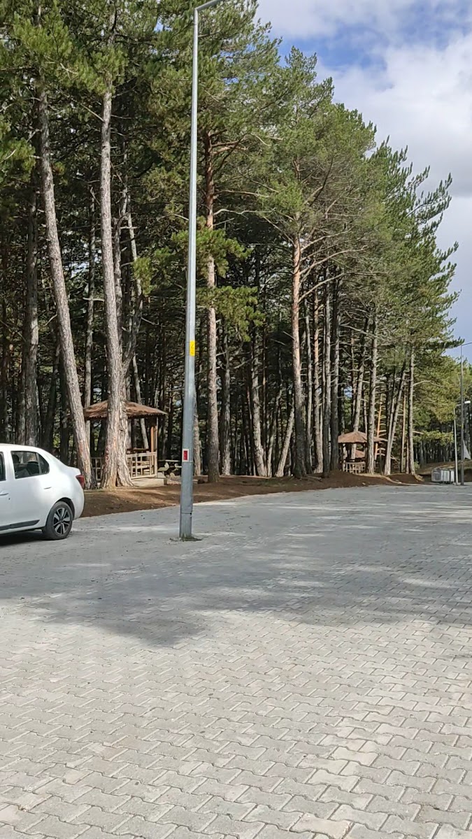 Çatak Tabiat Parkı — fotoğraf 3