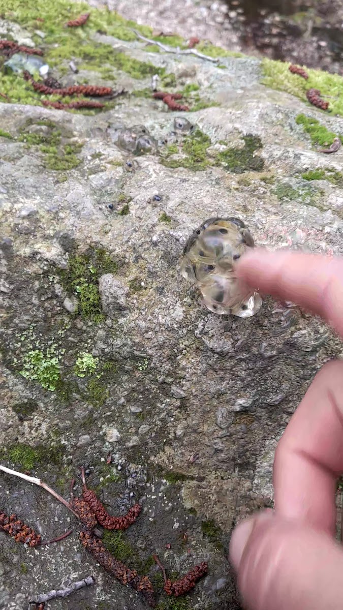 Cehennem Şelaleleri — fotoğraf 2