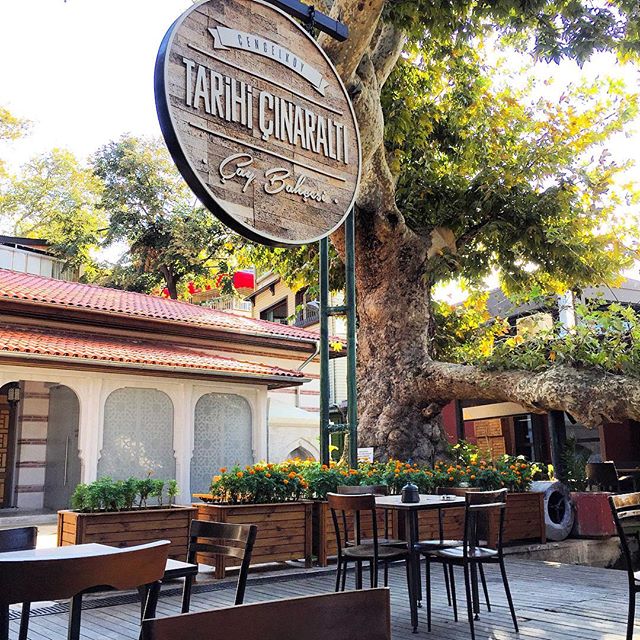 Çengelköy Tarihi Çınaraltı