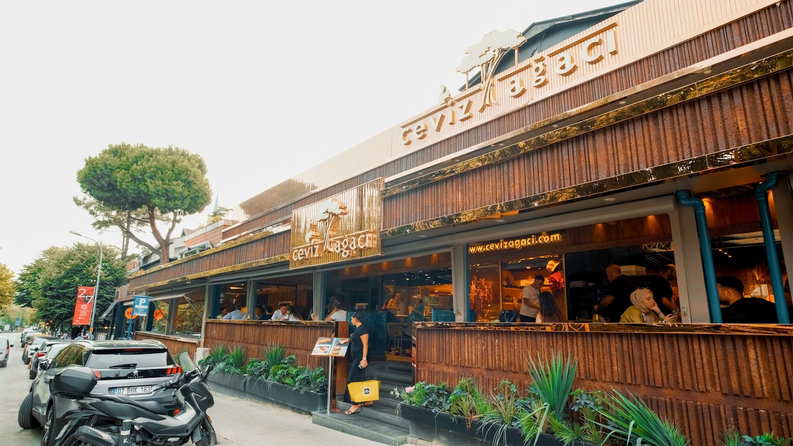 Ceviz Ağacı — fotoğraf 1