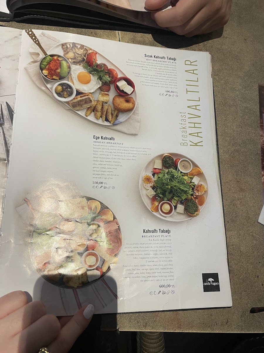 Ceviz Ağacı — fotoğraf 4