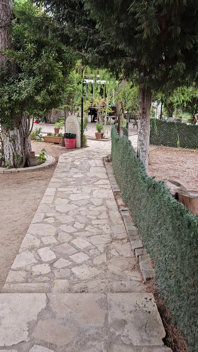 Chocolokko (Çiftlikoğlu) Kır Bahçesi — fotoğraf 3