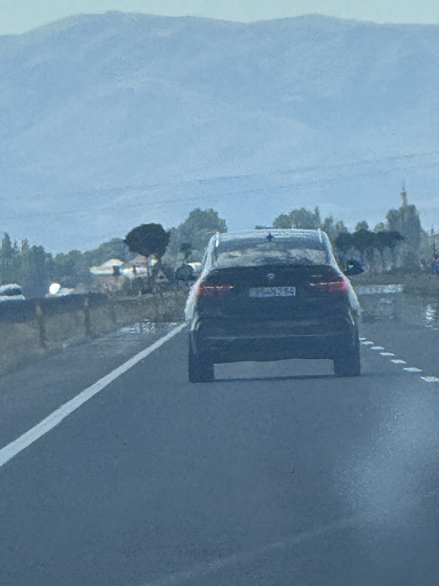 Çiçek Palas Otel — fotoğraf 3