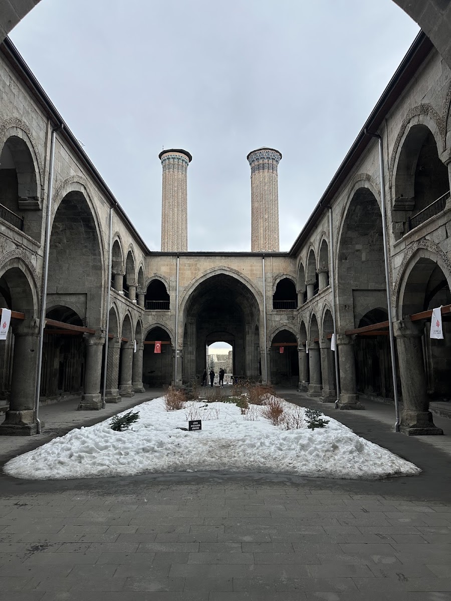 Çifte Minareli Medrese — fotoğraf 2