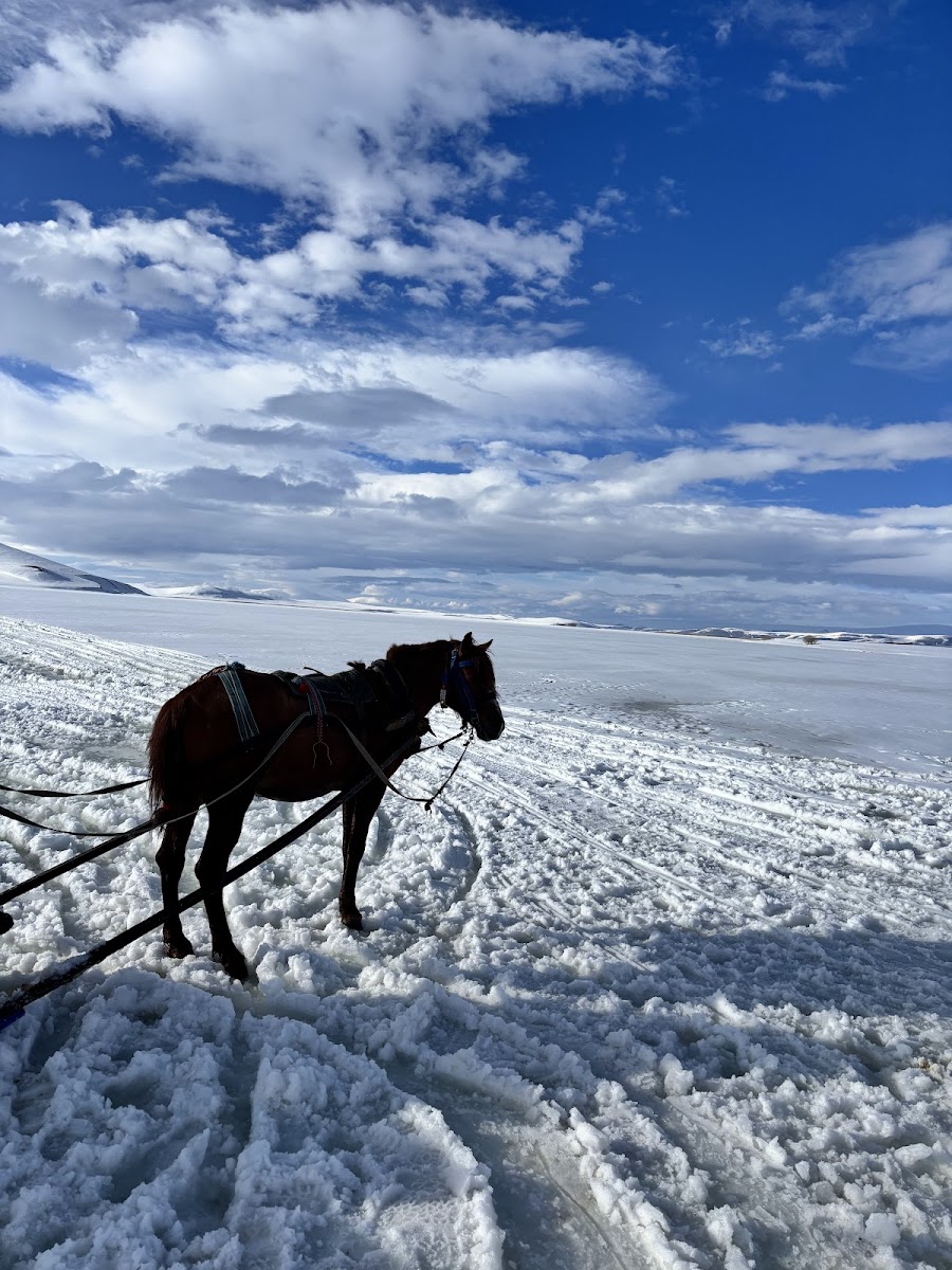Çıldır Gölü — fotoğraf 2
