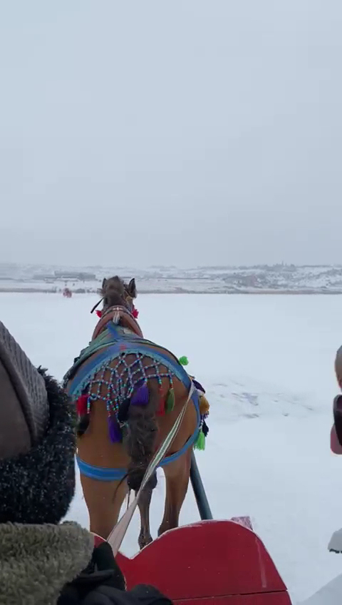 Çıldır Gölü — fotoğraf 3