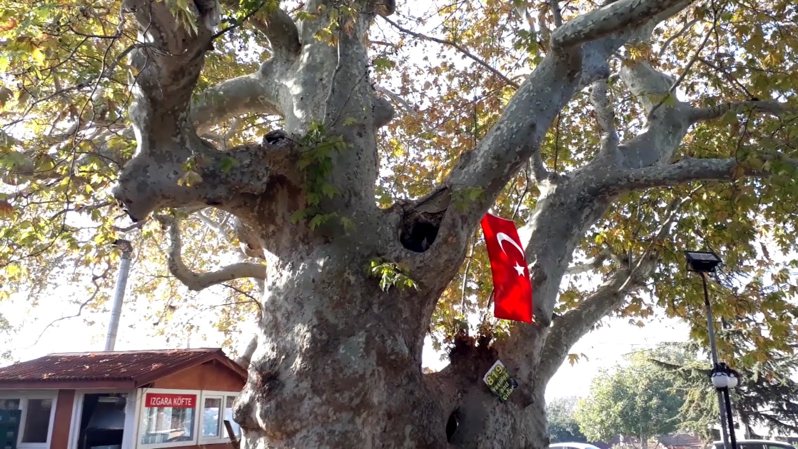 Çınaraltı — fotoğraf 3