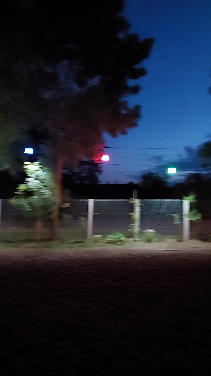 Çınarlı Bahçe Sinop Kahvaltı Restoranı&Bungalov Konaklama — fotoğraf 3