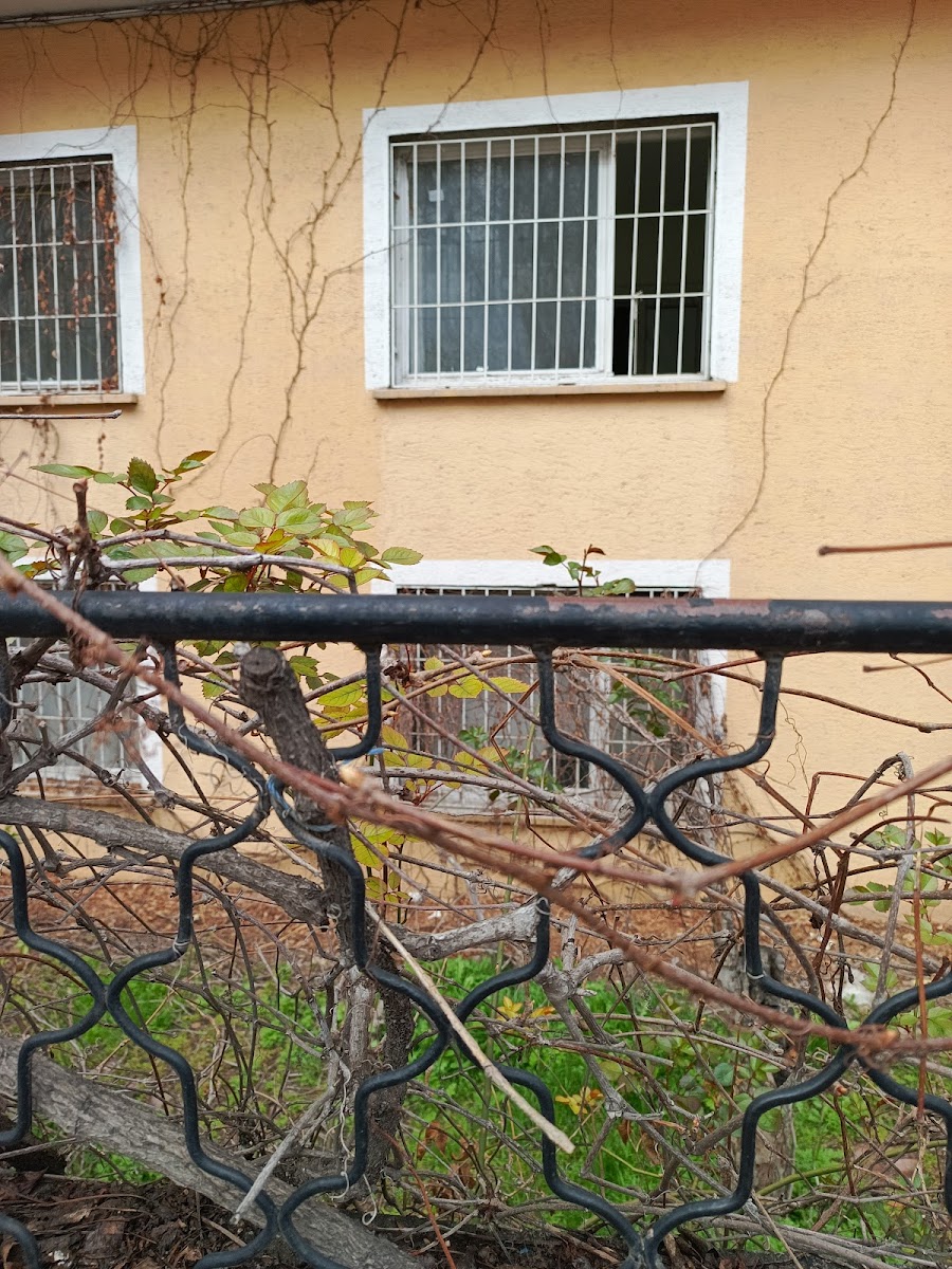 Çorbacıdayım — fotoğraf 2