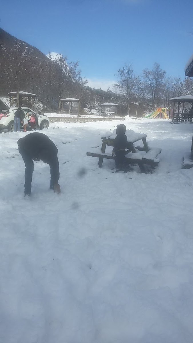 Çorum Kent Ormanı — fotoğraf 2