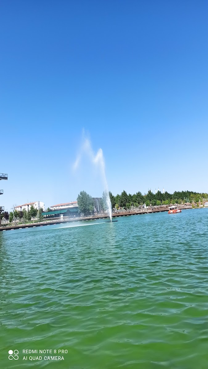 Çorum Millet Bahçesi — fotoğraf 2