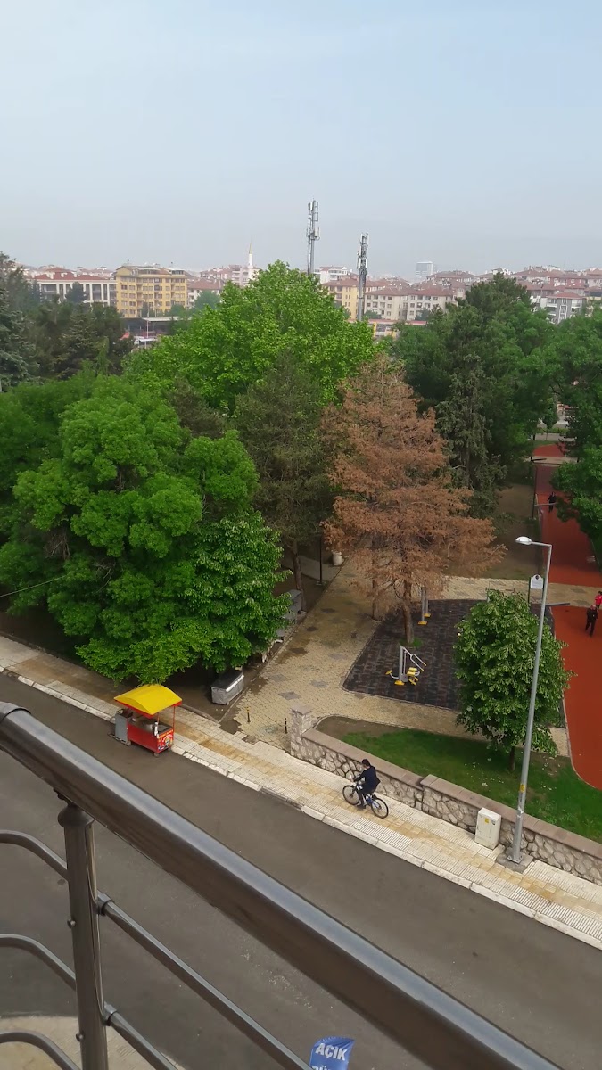 Çorum Öğretmenevi — fotoğraf 4