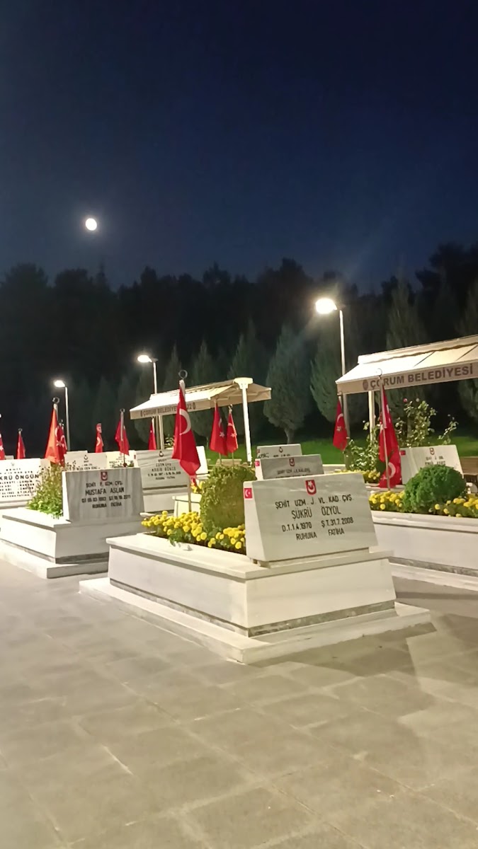 Çorum Şehitlik Anıtı — fotoğraf 3