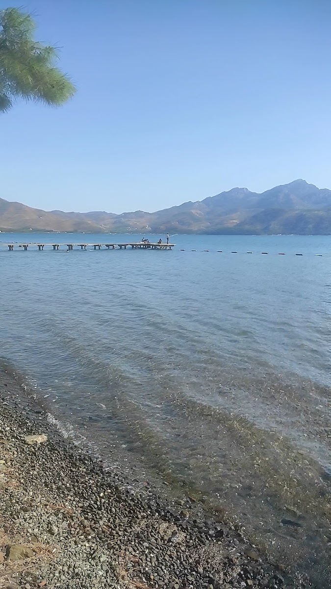 Çubucak Tabiat Parkı — fotoğraf 3