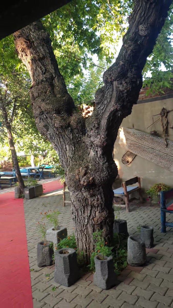 Daşhane — fotoğraf 3