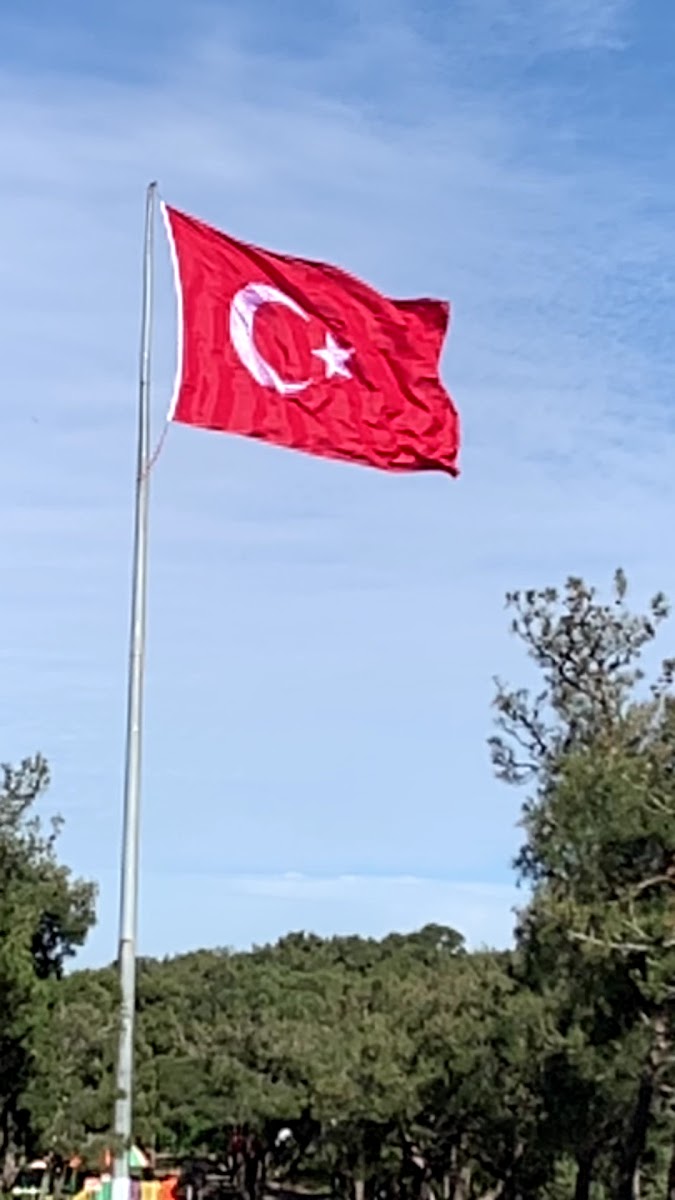 Değirmen Tepesi Kutrulomilo — fotoğraf 3