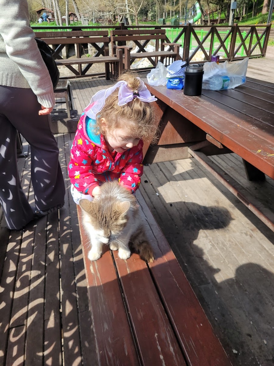 Değirmenboğazı Tabiat Parkı — fotoğraf 2