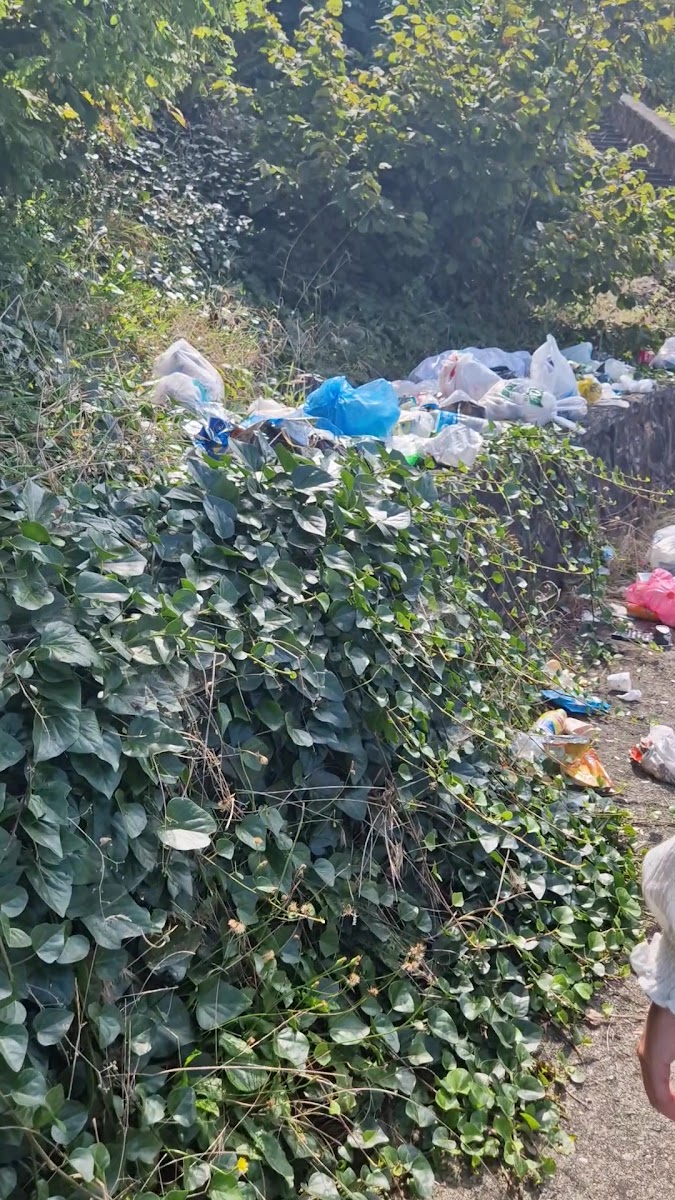 Deliklitaş Plajı — fotoğraf 3