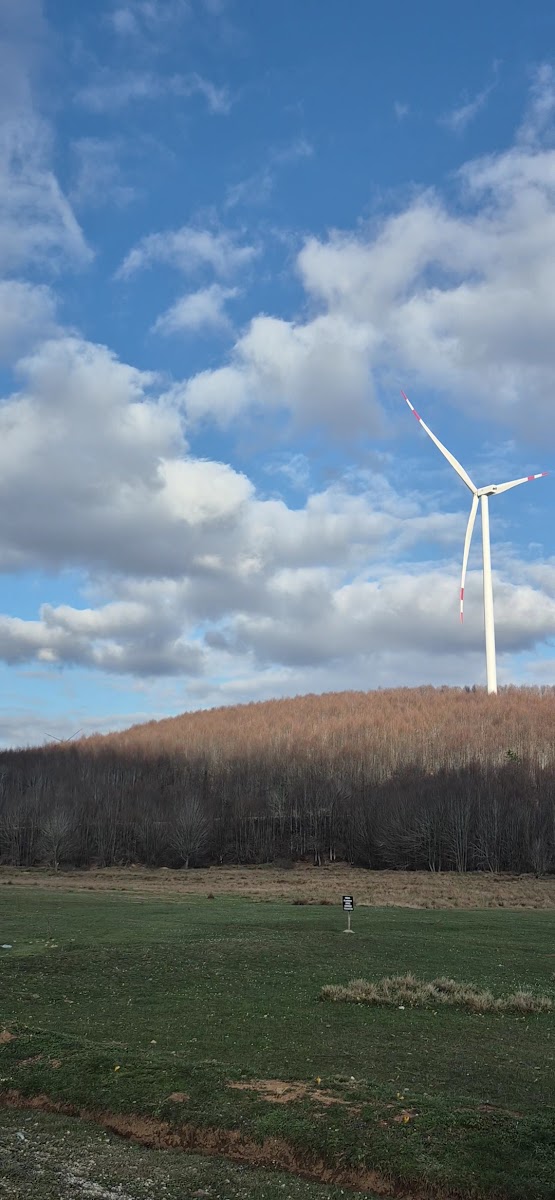 Delmece Yaylası — fotoğraf 2