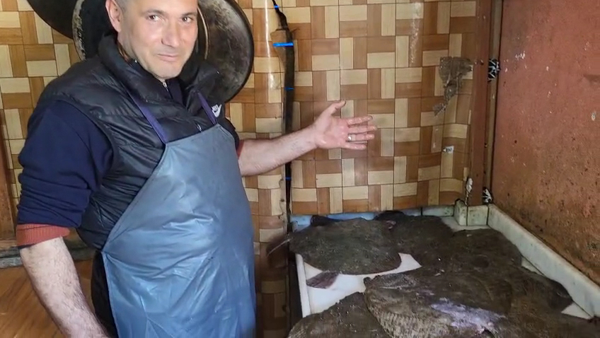 Demircan Aile Balık Restoranı — fotoğraf 3