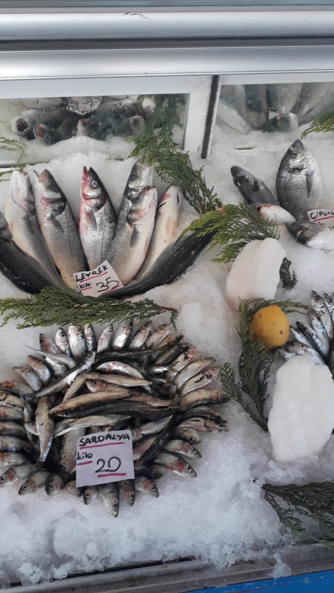 Deniz Balıkçılık ve Balık Evi (Merkez) — fotoğraf 3