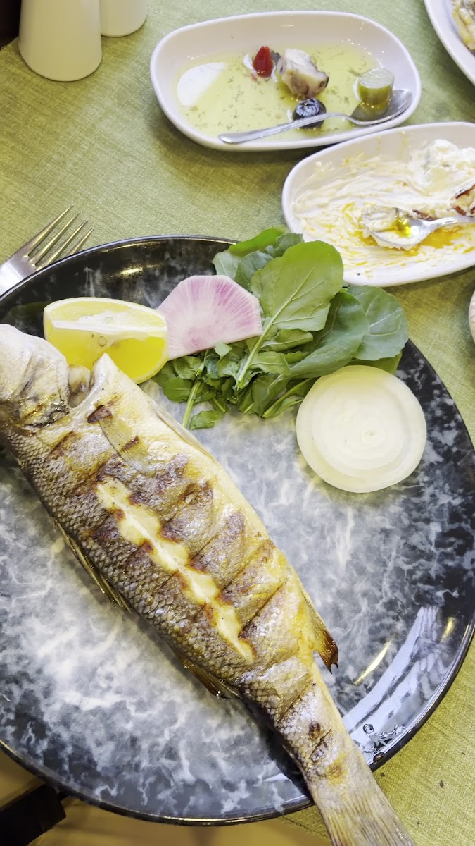 Deniz Yıldızı Restaurant — fotoğraf 4