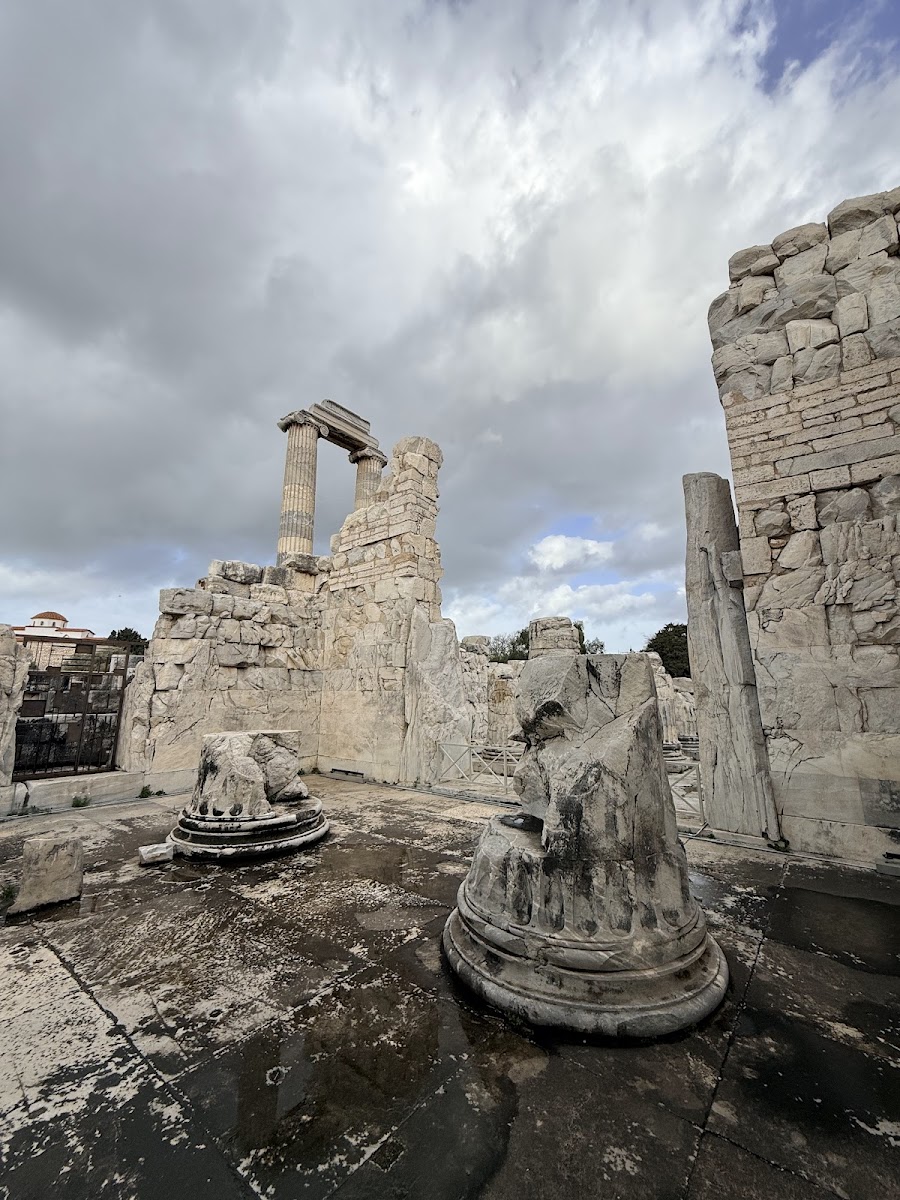 Didyma — fotoğraf 5
