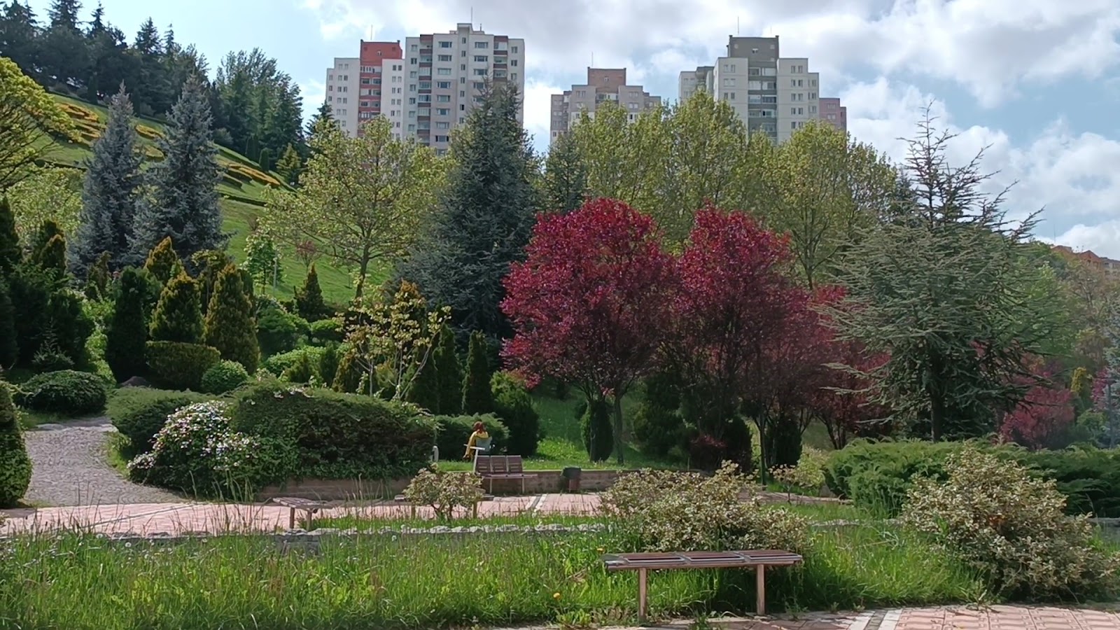 Dikmen Vadisi — fotoğraf 4