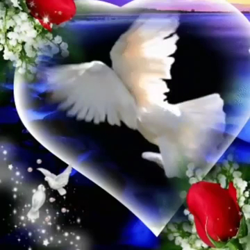 Dilan Pide Lahmacun — fotoğraf 3