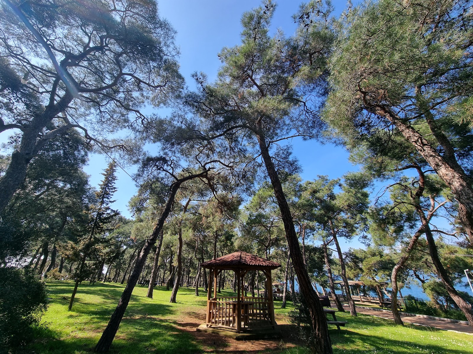 Dilburnu Tabiat Parkı — fotoğraf 1